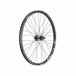 DT Swiss FR1950 Classic DB Baghjul (29" | Alu | 30mm | Sort | IS 6-hole | 148 / 12mm TA | Shimano)