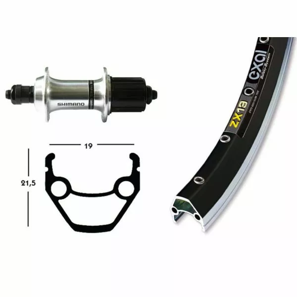 BIKE PARTS Bike-Parts Rear 28x1.75 TX 800 8/10 For SSP 36L Exal ZX 19 Pin (silver)