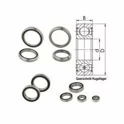 Quaxar 16100 Industrielt Leje (10x28x8mm)